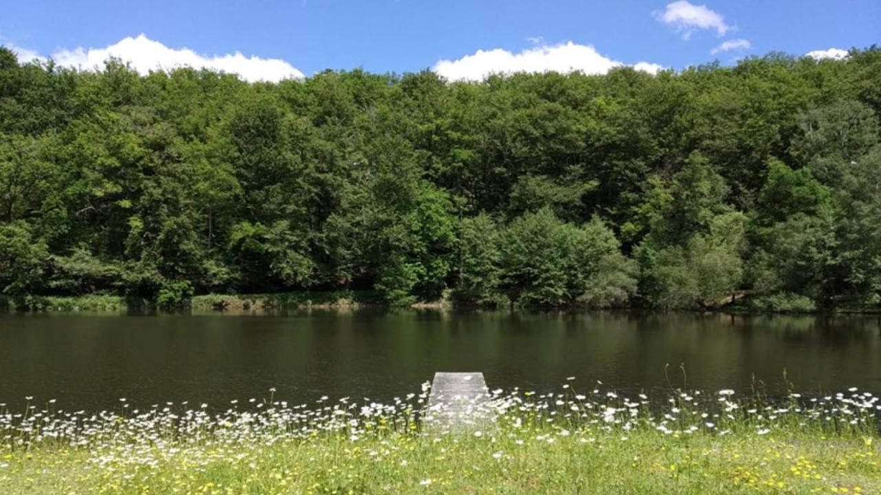 Appartement Aux Sources De La Chabanne Saint-Hilaire-les-Courbes Luaran gambar